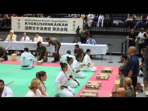 All American Open 2015 Kyokushnin Karate Tameshiwari