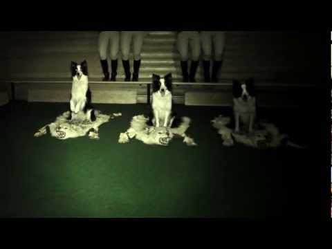 RUSCONI - Alice in the sky feat Fred Frith (official videoclip)