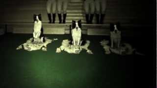 RUSCONI - Alice in the sky feat Fred Frith (official videoclip)