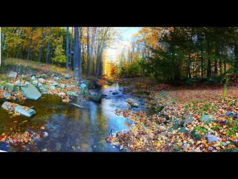 NVprod -   December Original mix