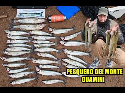 A PURA PESCA en LAGUNA DEL MONTE - GUAMINI BsAs
