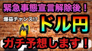 【FX】 緊急事態宣言　最終調整後のドル円ガチ予想します！【FX初心者】