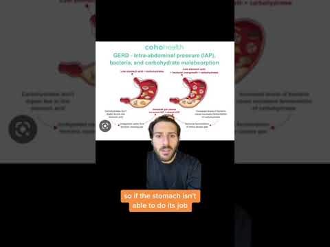 The Three Main Causes of GERD