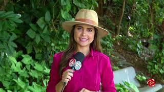 Café com TV especial de ano novo