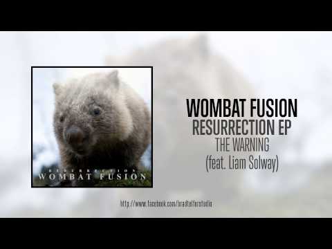 Wombat Fusion: THE WARNING (feat. Liam Solway)