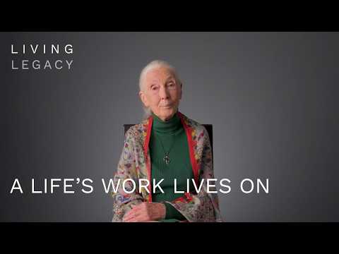 A life’s work lives on  | Living Legacy | BBC StoryWorks