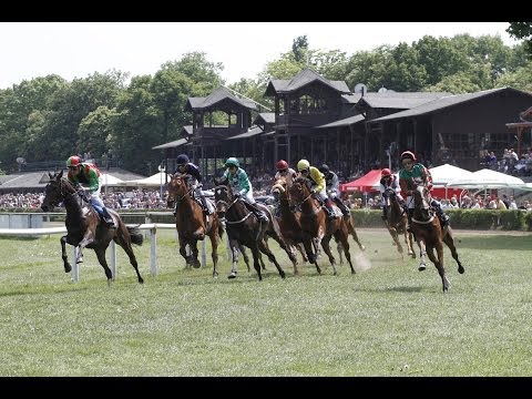 Dresden: Rennen des Town & Country Haus (D) - Siegerin: Al Queena