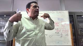Dr.Ahmed Elzainy thorax practical revision