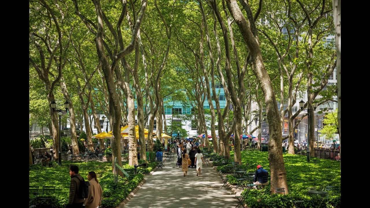 Live webcam view of Bryant Park Live View