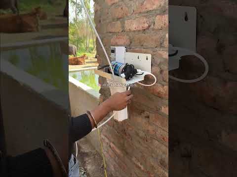 Plastic Fogger