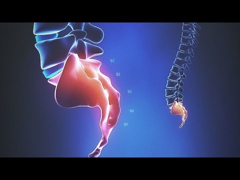 Proživljenje - dokazi // mr. Haris ef. Nuhambašić #džematsinanbeg