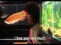 Cold Fish Trailer