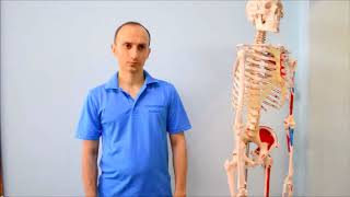 Frattura Dell'anca: Come si Manifesta e il Recupero