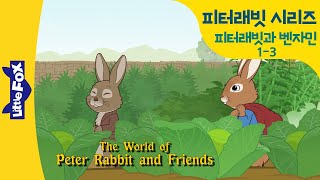 피터래빗동화 | 피터래빗과 벤자민 1-3 | 엄마말을 또 어긴 피터래빗 3 | 농장의 문지기 고양이 | 우리아이 영어 첫걸음 | 리틀팍스 영어 | 인기동화 | 토끼동화 영어