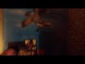 Fly Away Home 1996 VHS Review