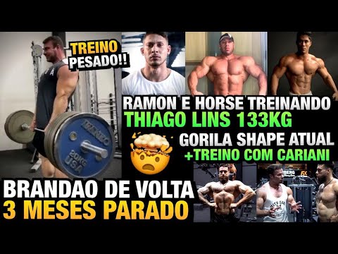 BRANDÃO VOLTA AOS TREINOS - GORILA SHAPE ATUAL - LINS BATE 133KG + Cariani, Ramon e Edvan