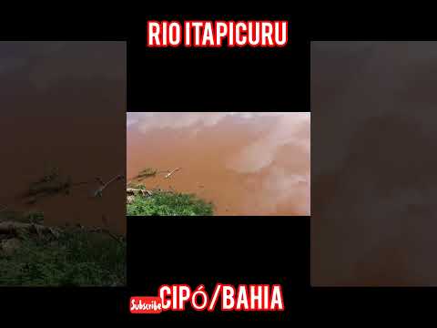 CHEIA NO RIO ITAPICURU  CIPÓ BAHIA.