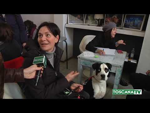 2020-02-10 PRATO - CANI E GATTI PER CINEMA E MODA, ECCO I PROVINI