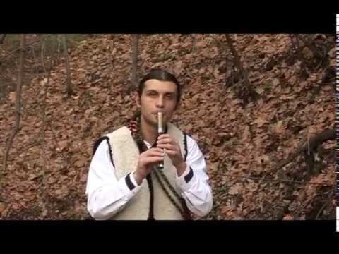 Aleksandar Kulić - Timočki motivi (Official Video)