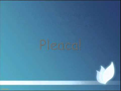 Antonia feat Vunk pleaca lyrics - Video