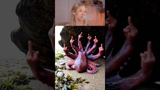 Try Not To Laugh Challenge 796