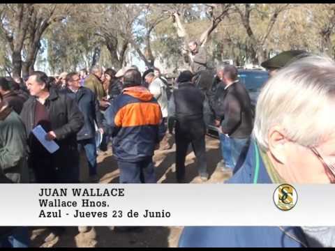 23-06-2016 Wallace Hnos - Azul - Nota Juan Wallace