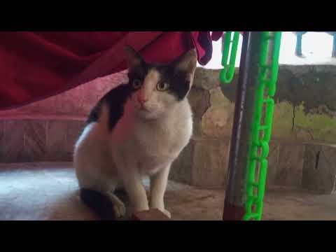 January 5, 2026 my cutie 🥰 aaj dargae kya dakh lea😳💀💀💀🤫