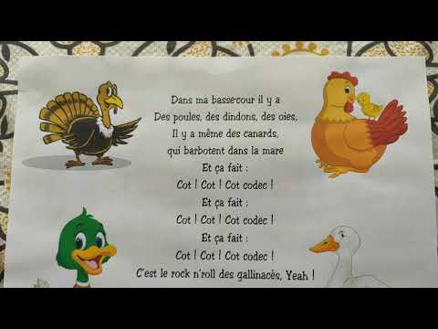 Rock n'roll des gallinacés