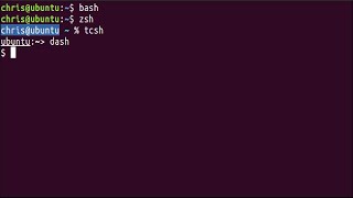 What’s the Difference Between Bash, Zsh, and Other Linux Shells?