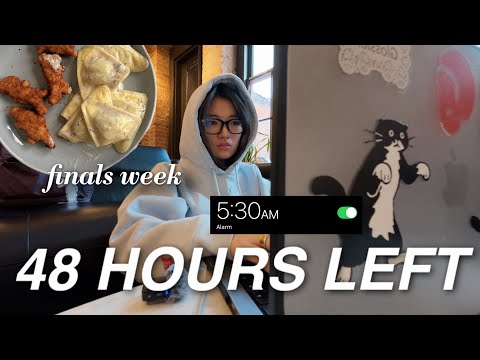 48 HOUR EXAM VLOG | realistic college finals week study vlog