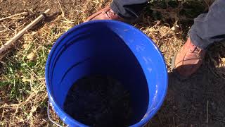 Forage Sampling