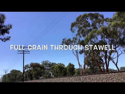 SSR five loco lash up. GM22 leads 4917, S311, GM27 and RL302.