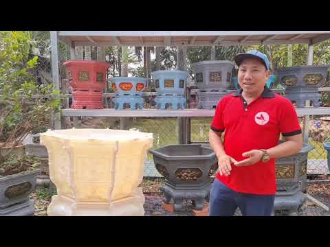 Bộ khuôn chân kỷ ABS Bát giác hoàn toàn mới