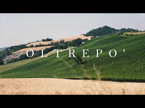 Oltrepo’ - Aurora Codazzi