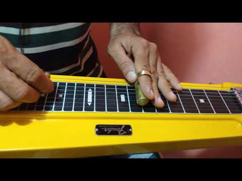 O Jardineiro que Chora   lap steel Fender 8 Guitarra havaiana