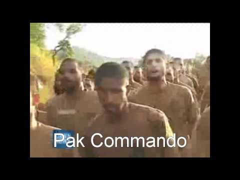 SSG COMMANDOES