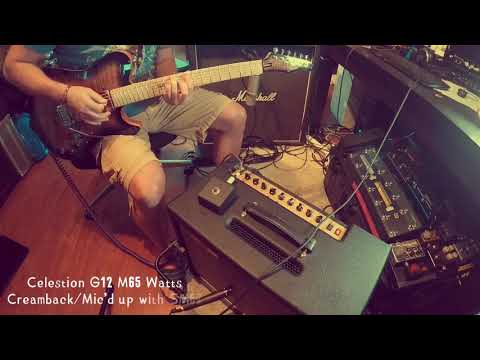Celestion G12 M65 (Creamback) vs Celestion Impulse response