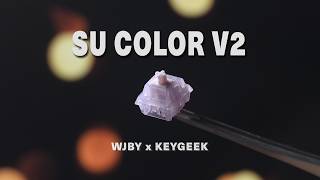Download lagu [L] KEYGEEK SU COLOR V2 by WJBY !!!!! mp3