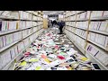 Dozens Injured As Japan Suffers Strong Quake