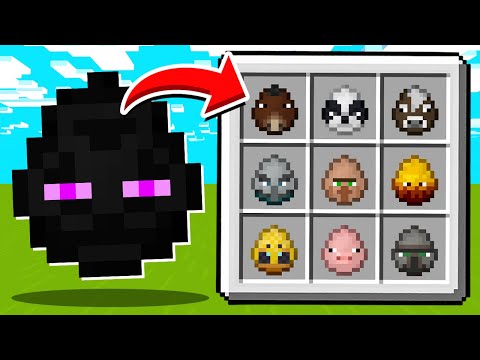 MEET THE NEW MINECRAFT SPECIAL SPAWN EGGS