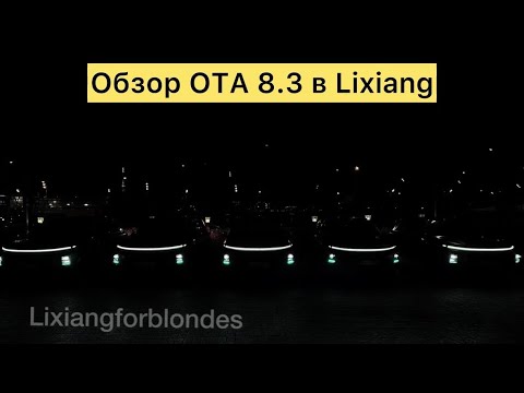 Lixiang OTA 8.3 Firmware Review