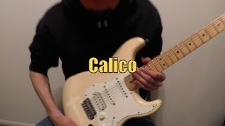 Calico Guitar Cover and Song Meaning
