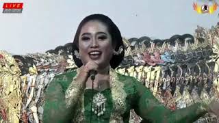 Download lagu Gubuk Asmoro - Tatin Lestari Handayani //Ki Seno Dalam Kenangan mp3 Download lagu Gubuk Asmoro - Tatin Lestari Handayani //Ki Seno Dalam Kenangan mp3