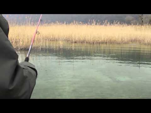 Rapala Rattlin Minnow Spoon 8cm 16g FLP