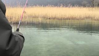 Rapala Rattlin Minnow Spoon 08 CLS