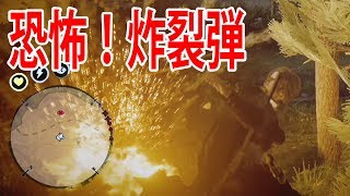 レッドデッドオンライン：恐怖！炸裂弾 PK プレイヤーキル RDO RDR2 Red Dead Redemption 2