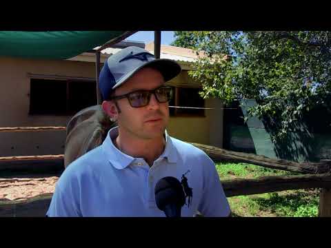 SOQRAT is the real deal.