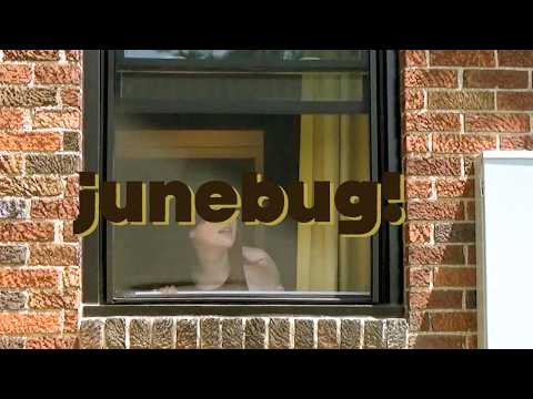 Junebug - Gayle