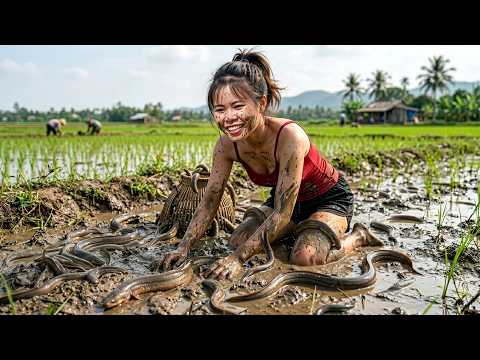 1000+ Mud Eels Harvested From Mud Pond | Selling Fresh At Countryside Market