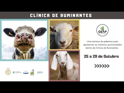 Verminoses em ruminantes | SEMANA DE CLÍNICA DE RUMINANTES